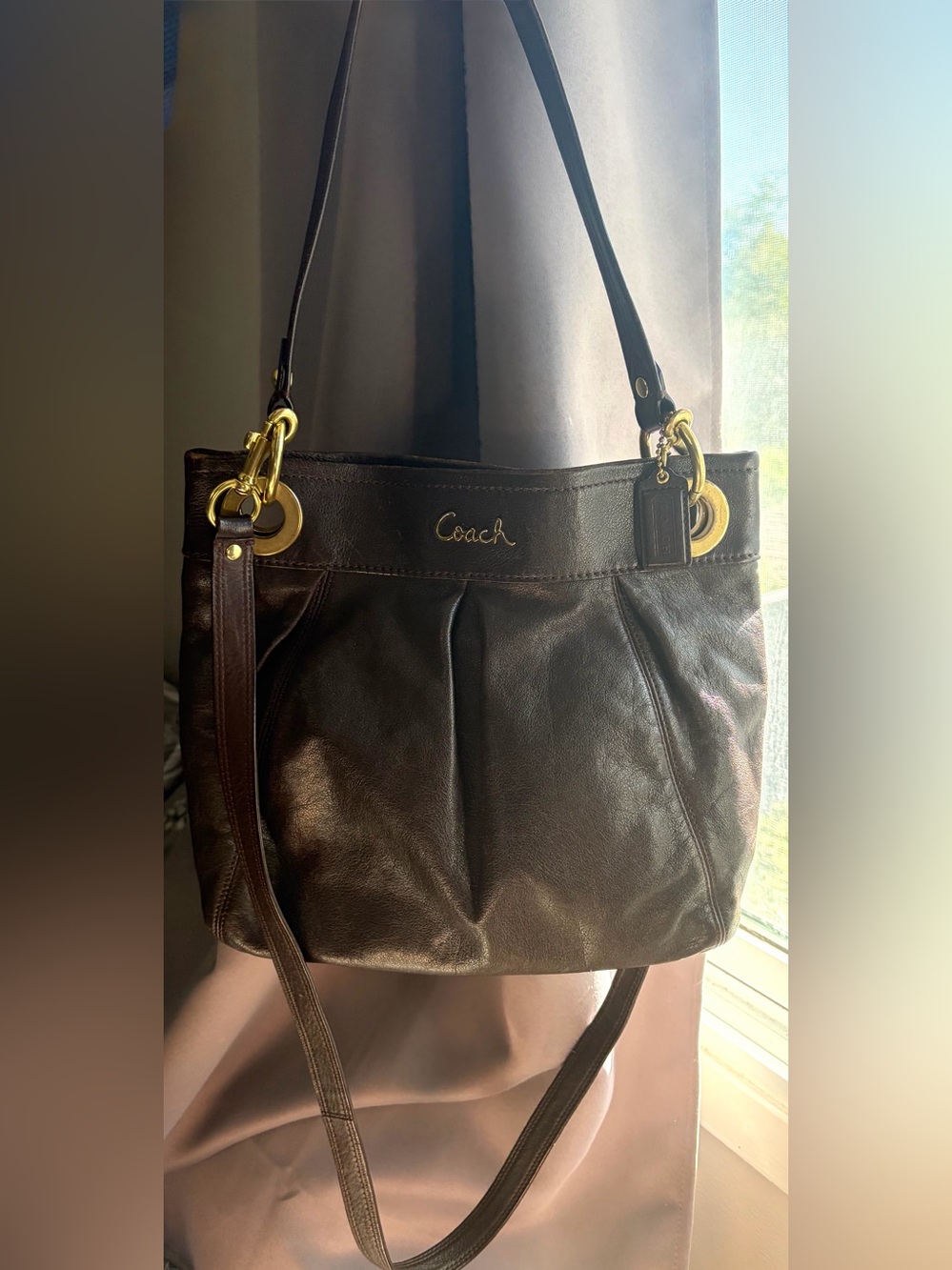 Coach Ashley Hippie Bag